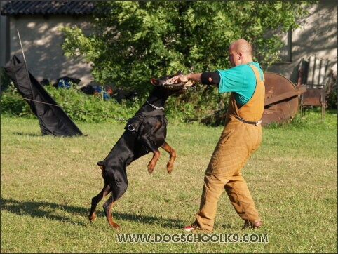 Pako Daker - training